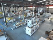 玉米種子裝箱包裝線